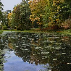 фото "Осень в Ясной Поляне"