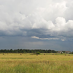 photo "Fields"