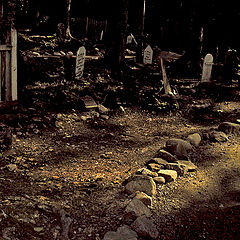 photo "Gold Rush Cemetery"