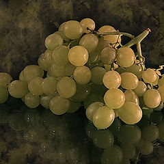 фото "виноград"