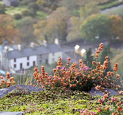 photo "Snowdonia Mountains"