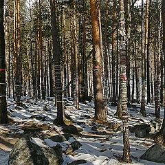 фото "СВятое место бурят..река Кыргынга..святые источники"