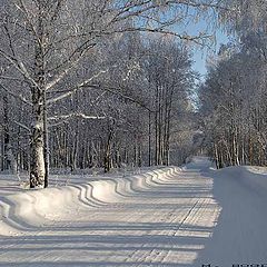 фото "Дао Cибири"