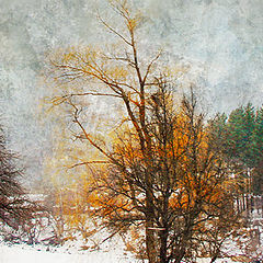 фото "Краски зимы"