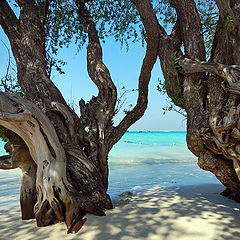 photo "Hardtien beach"