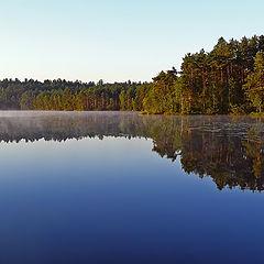 photo "The morning silence"