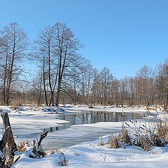 photo "Etude of last days of February"