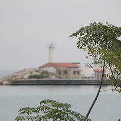 photo "***"