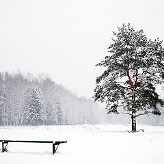 фото "Декабрь"