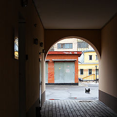 photo "Arch and Dog"