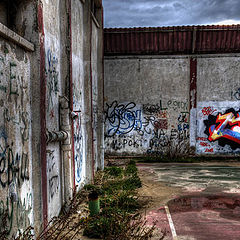 photo "The Wall"