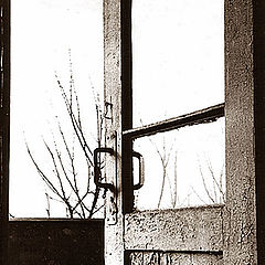 photo "Door"