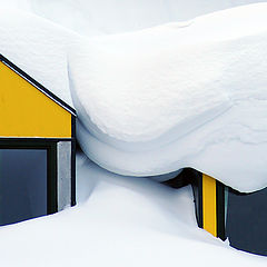 photo "Snow covered Windows"