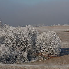 photo "Sweet home Sachsen-Anhalt"