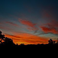 photo "Monterey Sunrise"