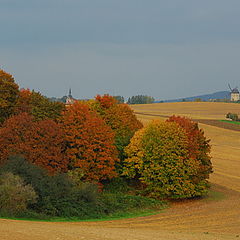 photo "Sweet home Sachsen-Anhalt"