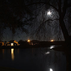 photo "A view from My Bedroom's Window"