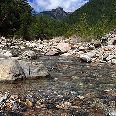 фото "Слоник и Бегемотик на водопое"