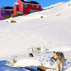 фото "Sisimiut, Greenland"