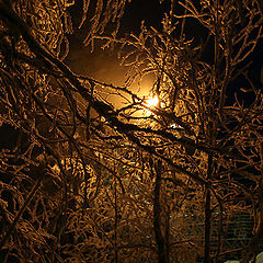 фото "Ночь, улица, фонарь...(2)"
