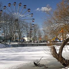 фото "Гибкость"