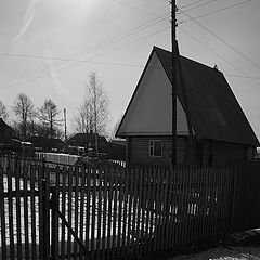 фото "Деревенская забористая"