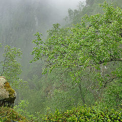 photo "Landscape of the clouds"