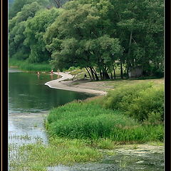 photo "Summer landscape"