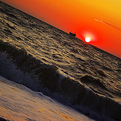 photo "***"