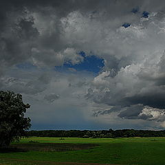 фото "clouds"