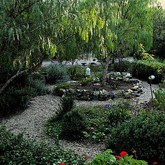 фото "My garden"