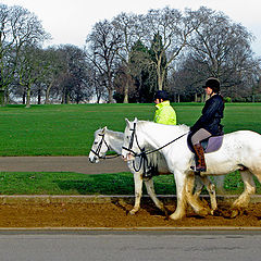 photo "Equestrians"