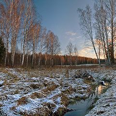 фото "Скоро замерзнет..."