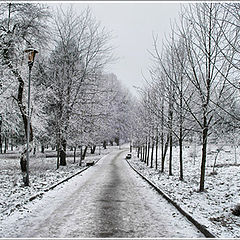 фото "прогулка по парку"