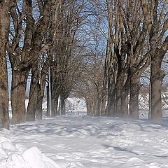 фото "Позёмка.."