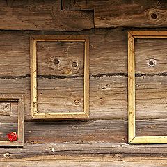 photo "Portraits on the wall of a shed :)"