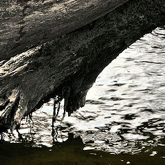 photo "***"