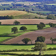 photo "The British lines"