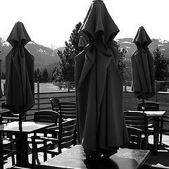 photo "The Patio Umbrella Clan"