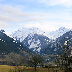 photo "The Alps"