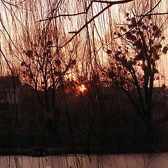 photo "***"