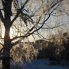 фото "Хрустальная зима"