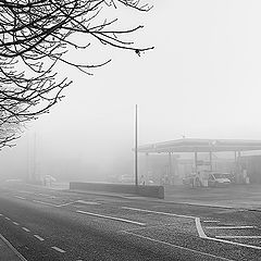 photo "Foggy Albion"