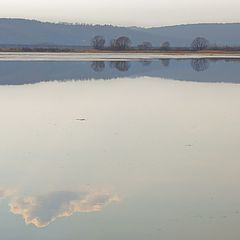 фото "Весеннее Andante"