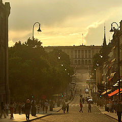 photo "Summer evening in Oslo"