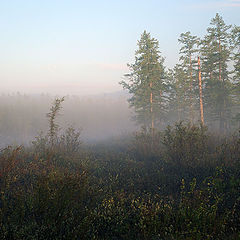 фото "Утро туманное"