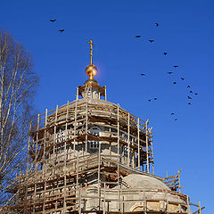 фото "Пробуждение"