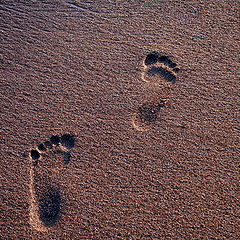 photo "Steps on sand"