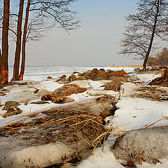 фото "Вид на Финский залив из парка Александрия - 2"