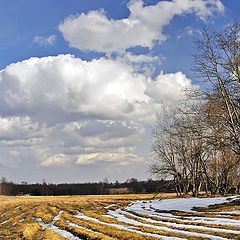 photo "Sping crossroads"